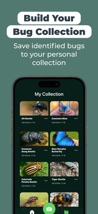 Insect Bug Identifier: BugScan Screenshot 3 of 6