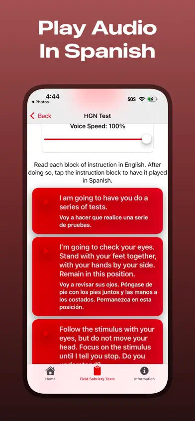 Spanish SFST screenshot 2