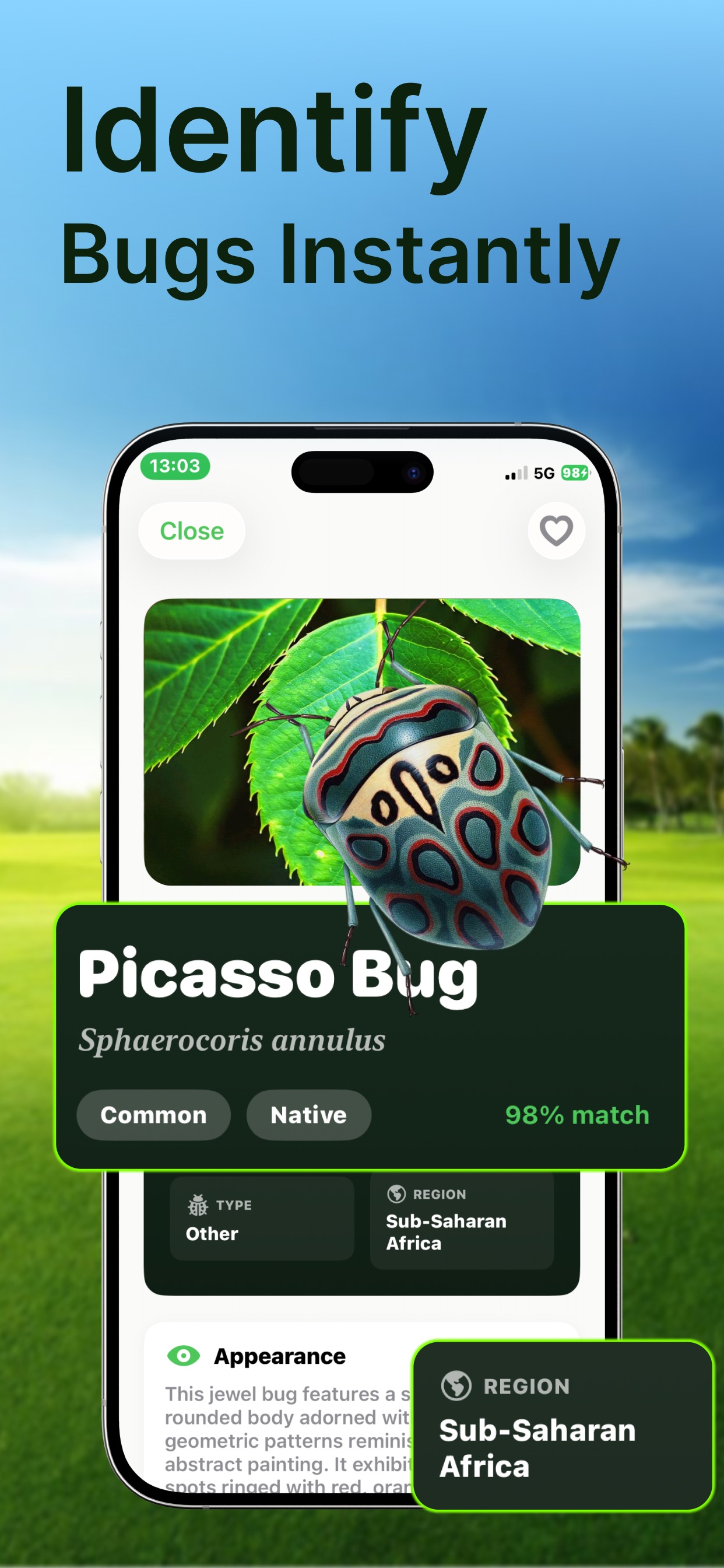 Screenshot 3 of Bug Identifier: Insect