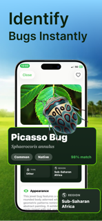 Bug Identifier: Insect screenshot 3