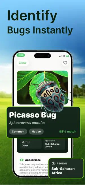 Bug Identifier: Insect screenshot 3