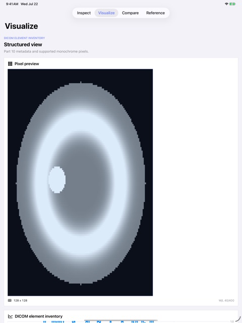 Voxelproof: DICOM Inspector screenshot 4