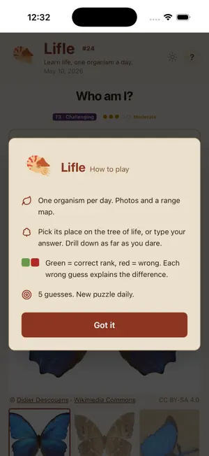 Lifle - Daily Nature Quiz screenshot 2