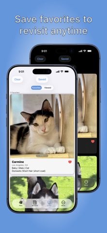 PetView360: Find & Adopt a Pet Screenshot 6 of 6