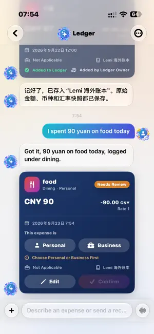 Lemi Abroad Ledger screenshot 2