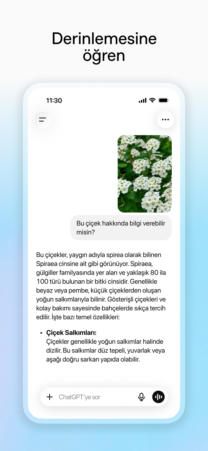 ChatGPT screenshot 6