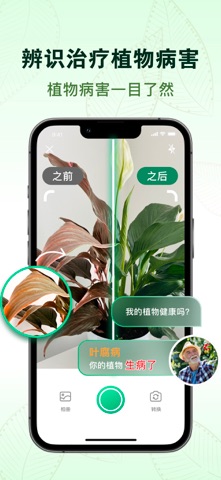 植物识别：拍照识别花草树木植物 screenshot