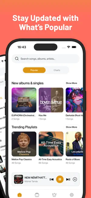 Music Player : Song, Video screenshot 2