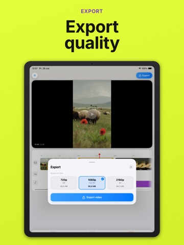 Merge Videos: Video Editor iPad screenshot