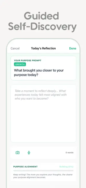 Daily Journal: Consistent screenshot 4