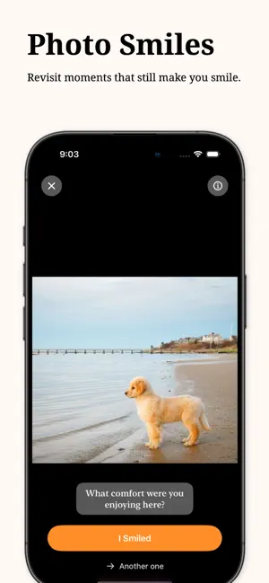 Quokka – Tiny smile ritual screenshot 4