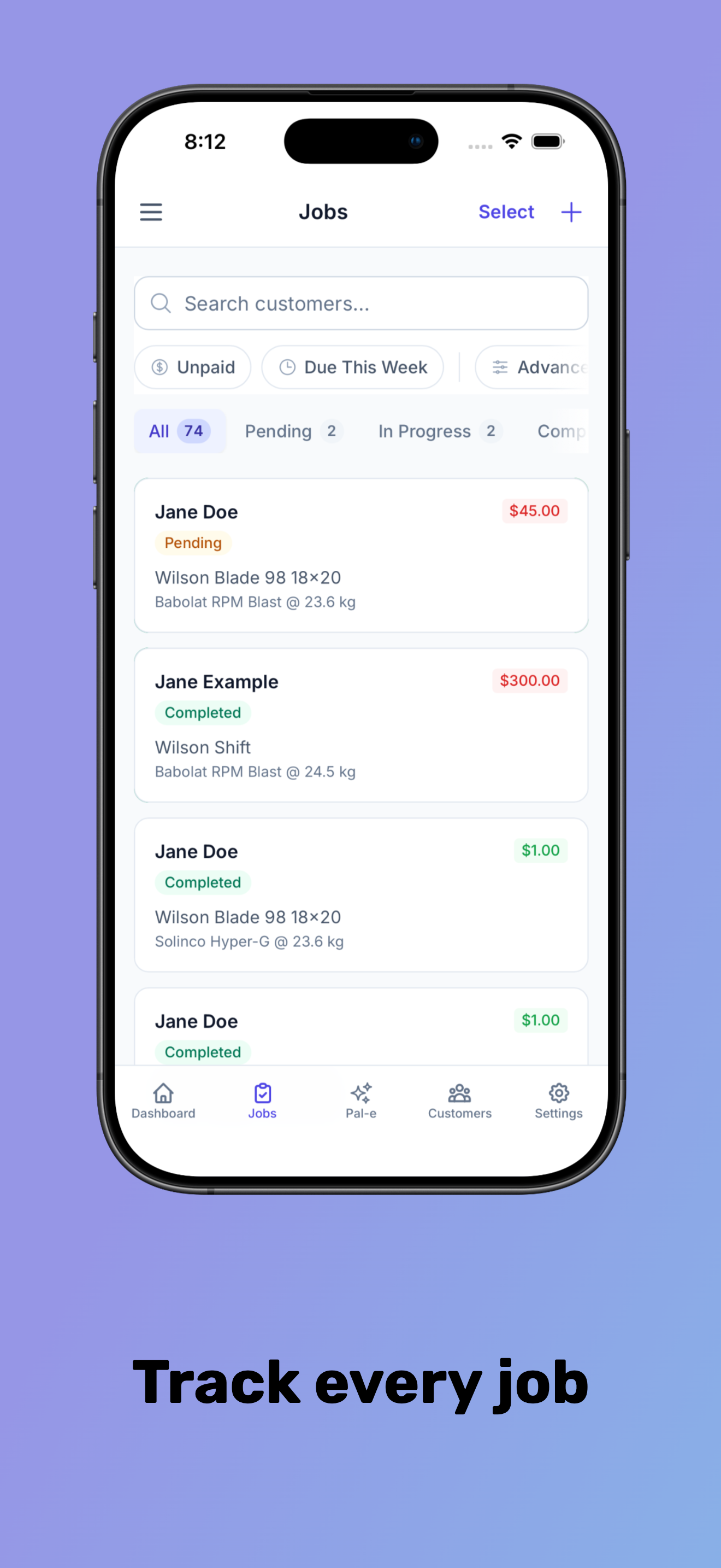 StringerPal screenshot 2