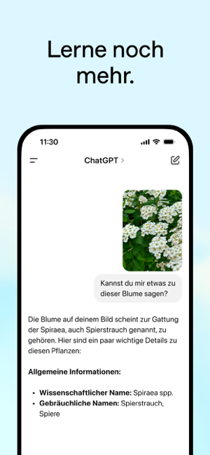 ‎ChatGPT Screenshot