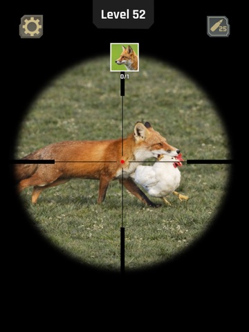 Animal Hunter: Wild Shooting iPad screenshot