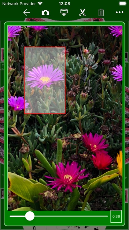 KubiTarock screenshot-9