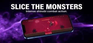 Ninja Runner Jump: Epic Dash iPhone screenshot