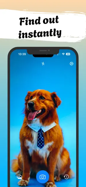 Dog Identifier - DoggyID screenshot 3