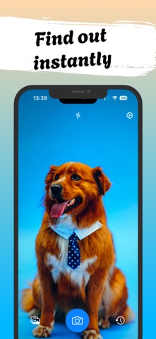 Dog Identifier - DoggyID screenshot
