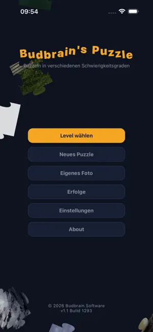 Budbrain's Puzzle screenshot 1
