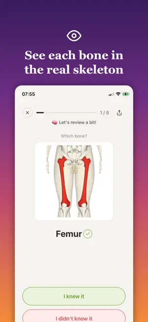 Bonelearn screenshot 2