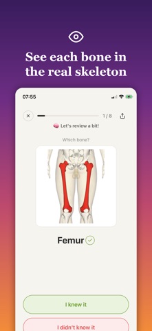 Bonelearn Screenshot 2 of 6