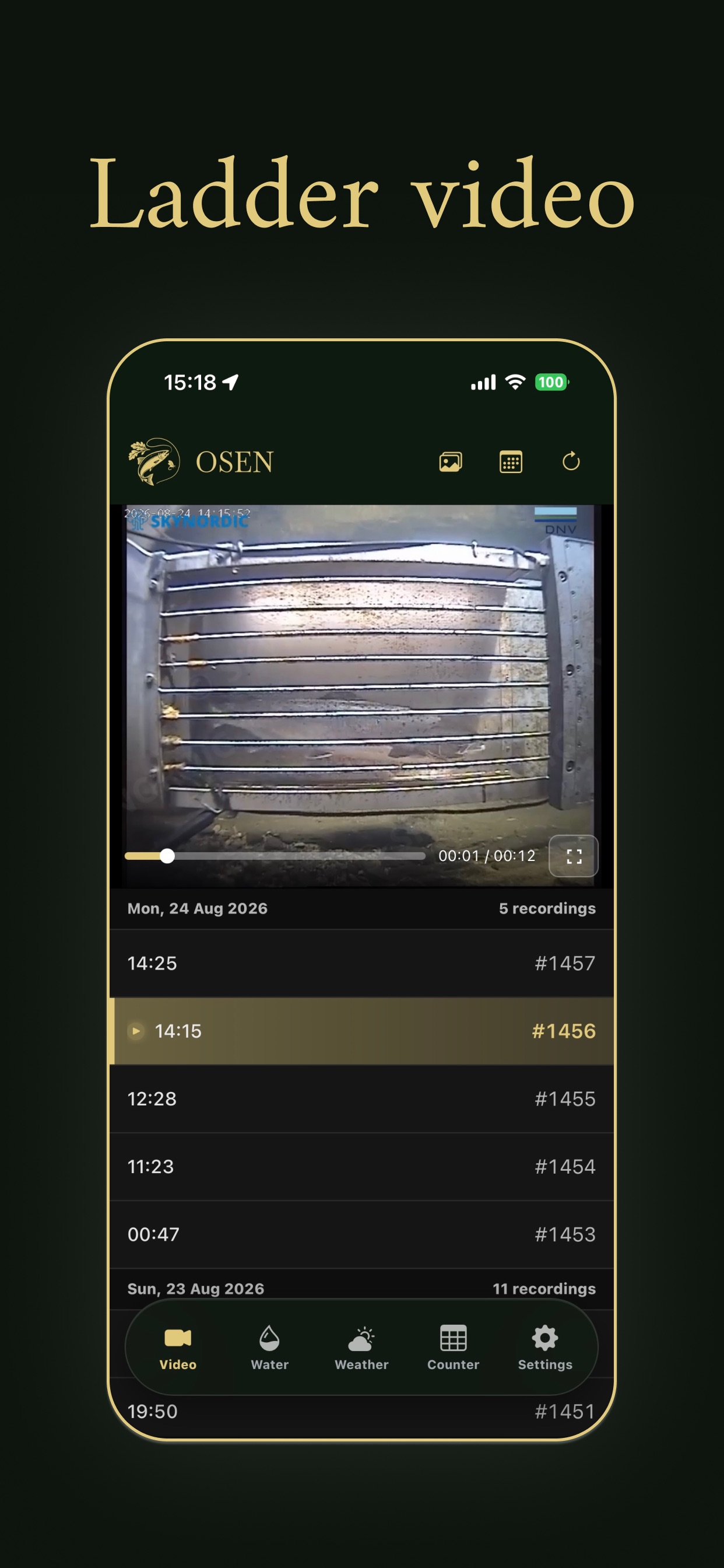 Screenshot 2 of Osen Fishing