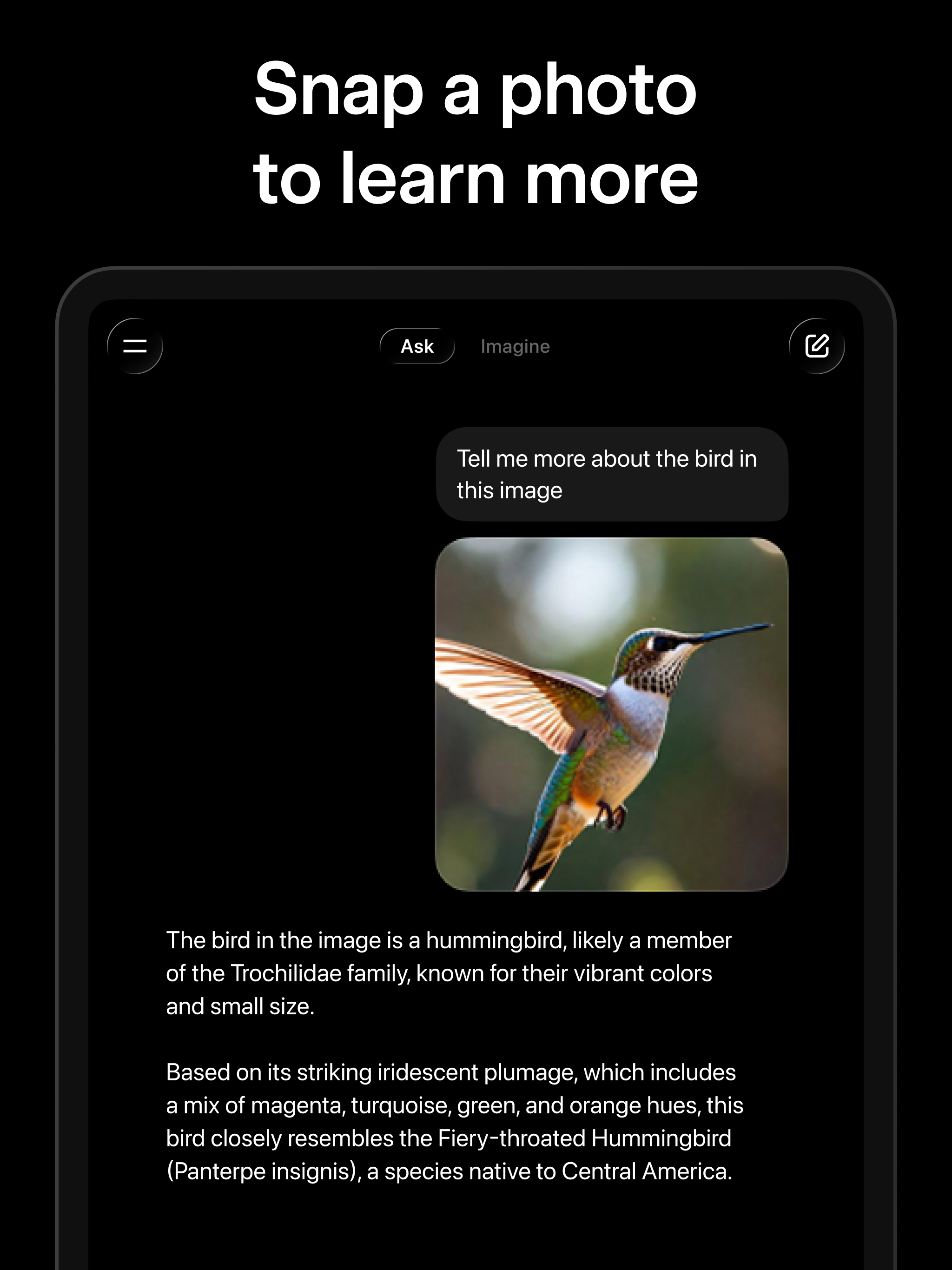 Grok AI screenshot 16