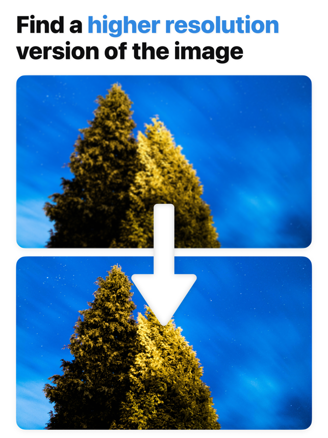 Reverse Image Search: Eye Lens Screenshot