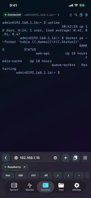 SysPulse - Linux Monitor & SSH screenshot 3