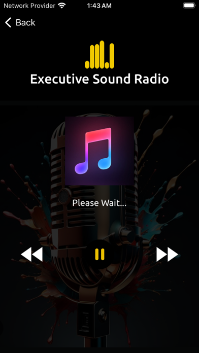 Executive Sound Radio  App Screenshot