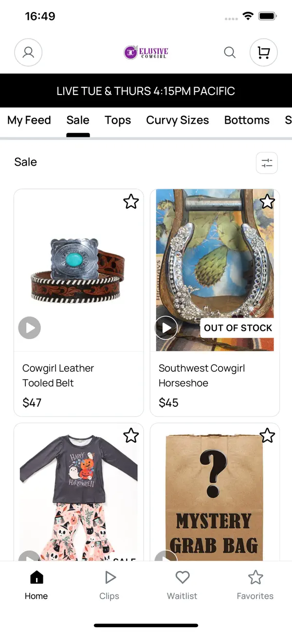 Screenshot #1 pour Elusive Cowgirl