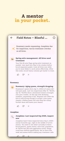 HiveBloom Screenshot 4 of 7