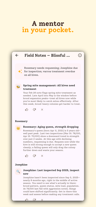 HiveBloom Screenshot 4 of 7