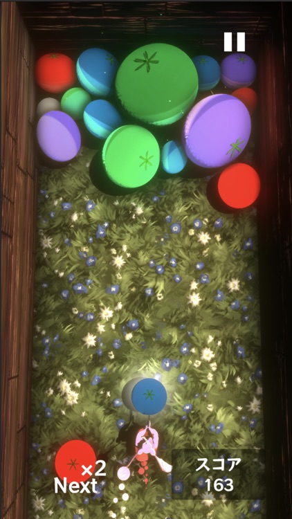 ゴールデントマト