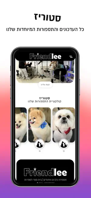 Friendlee screenshot 1