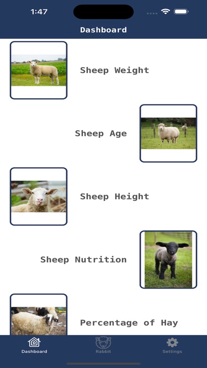 Sheep Husbandry