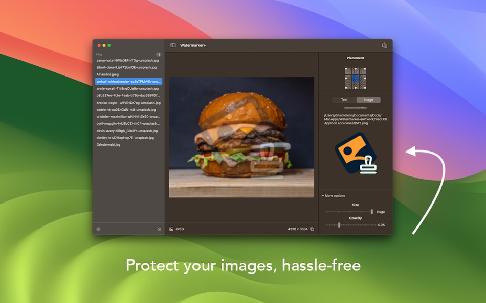 #2. Watermarker + (macOS) 게시자: InSili.co