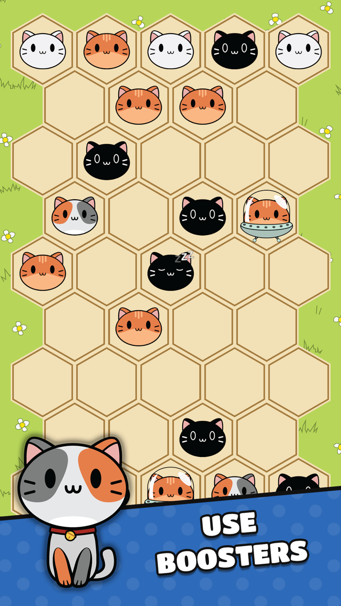 Cute Puzzle Hex Cat