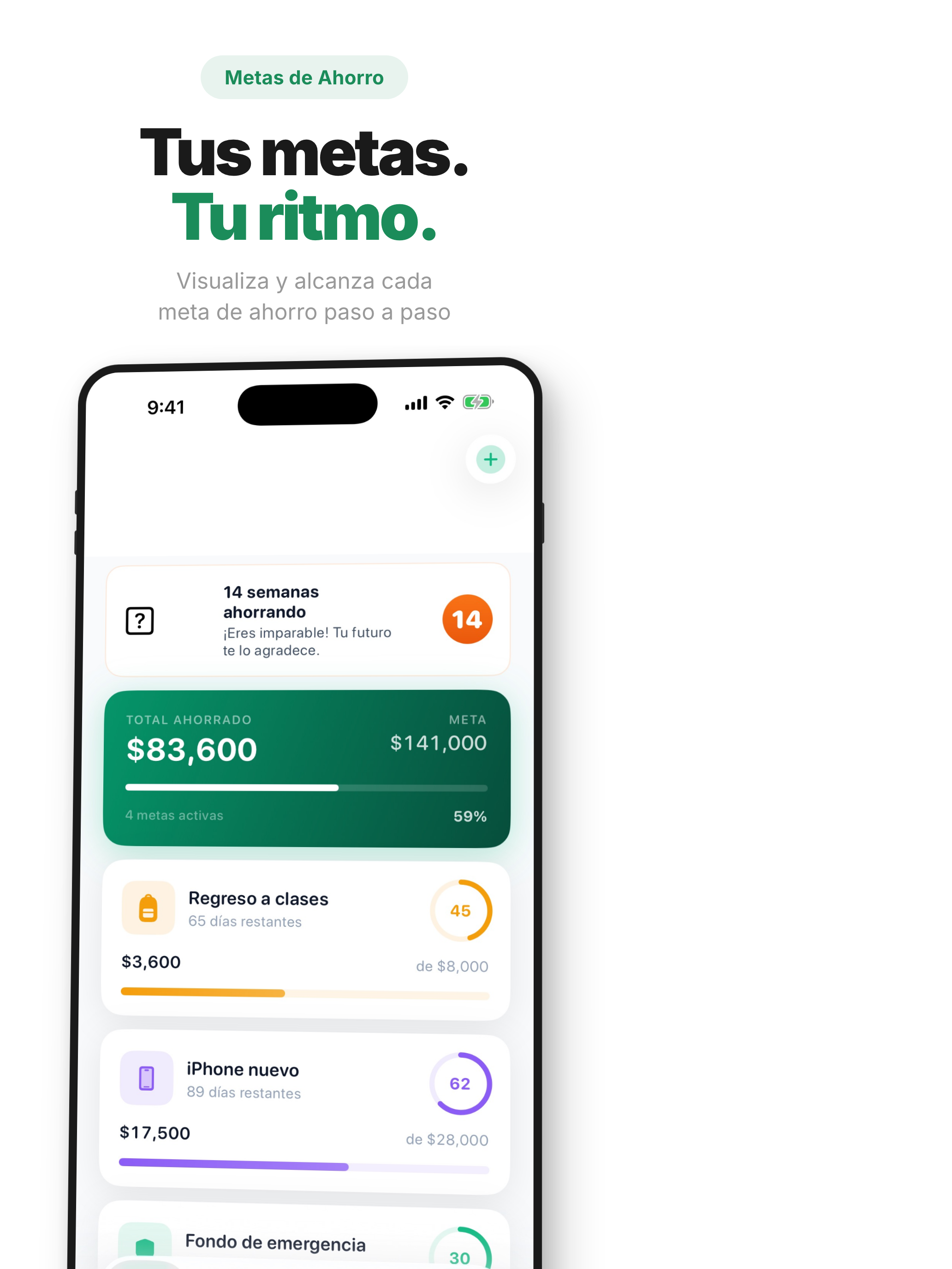 Meta de Ahorro - Cumbre screenshot 6