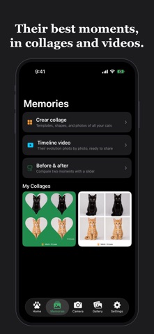 CatLives: Cat Care Tracker screenshot