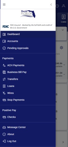 BankFlorida Treasury screenshot