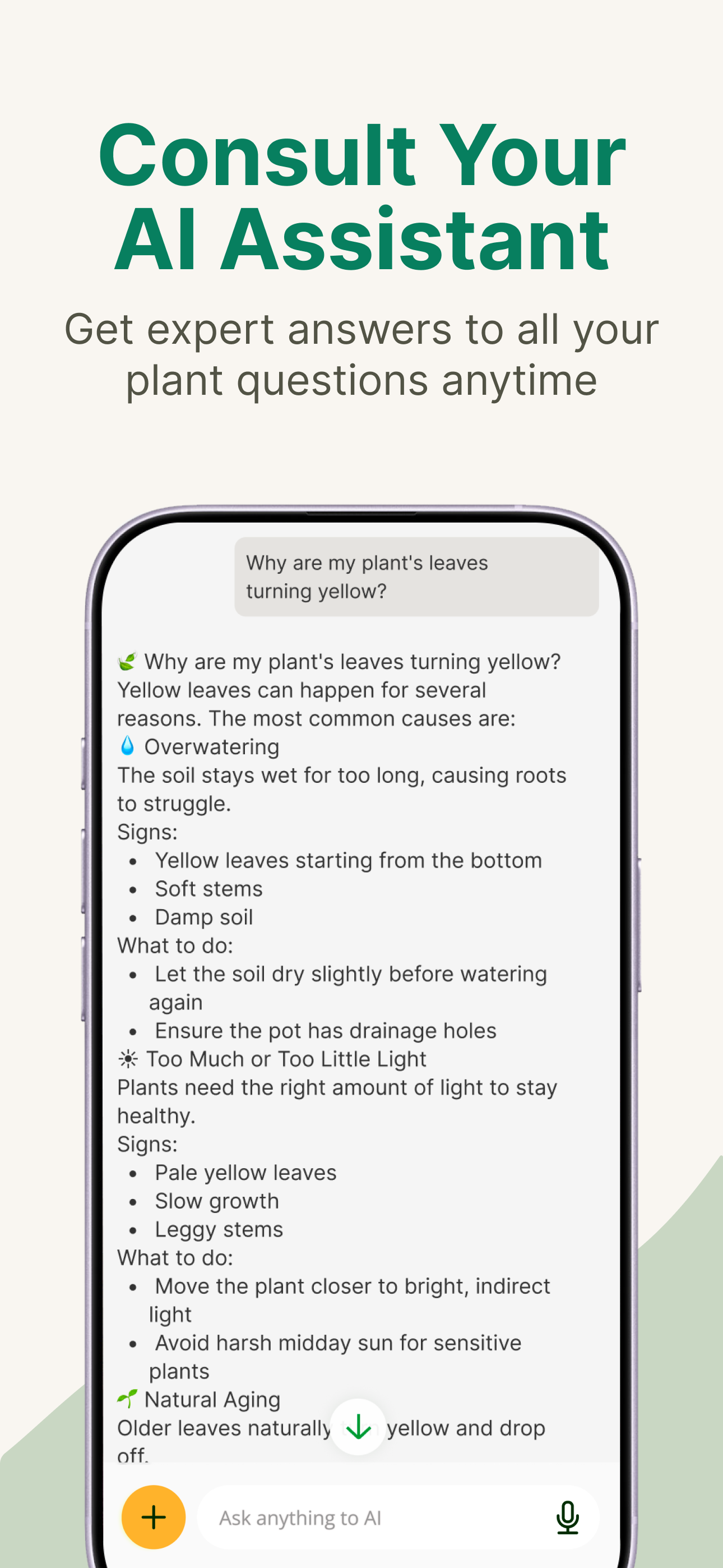 VerdiVista - Plant Identifier screenshot 6