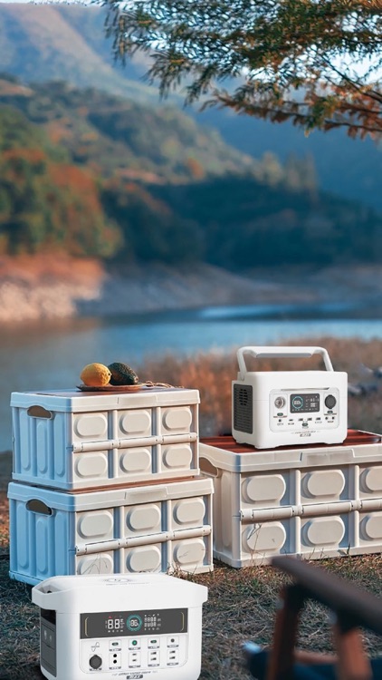 Power Station Manager