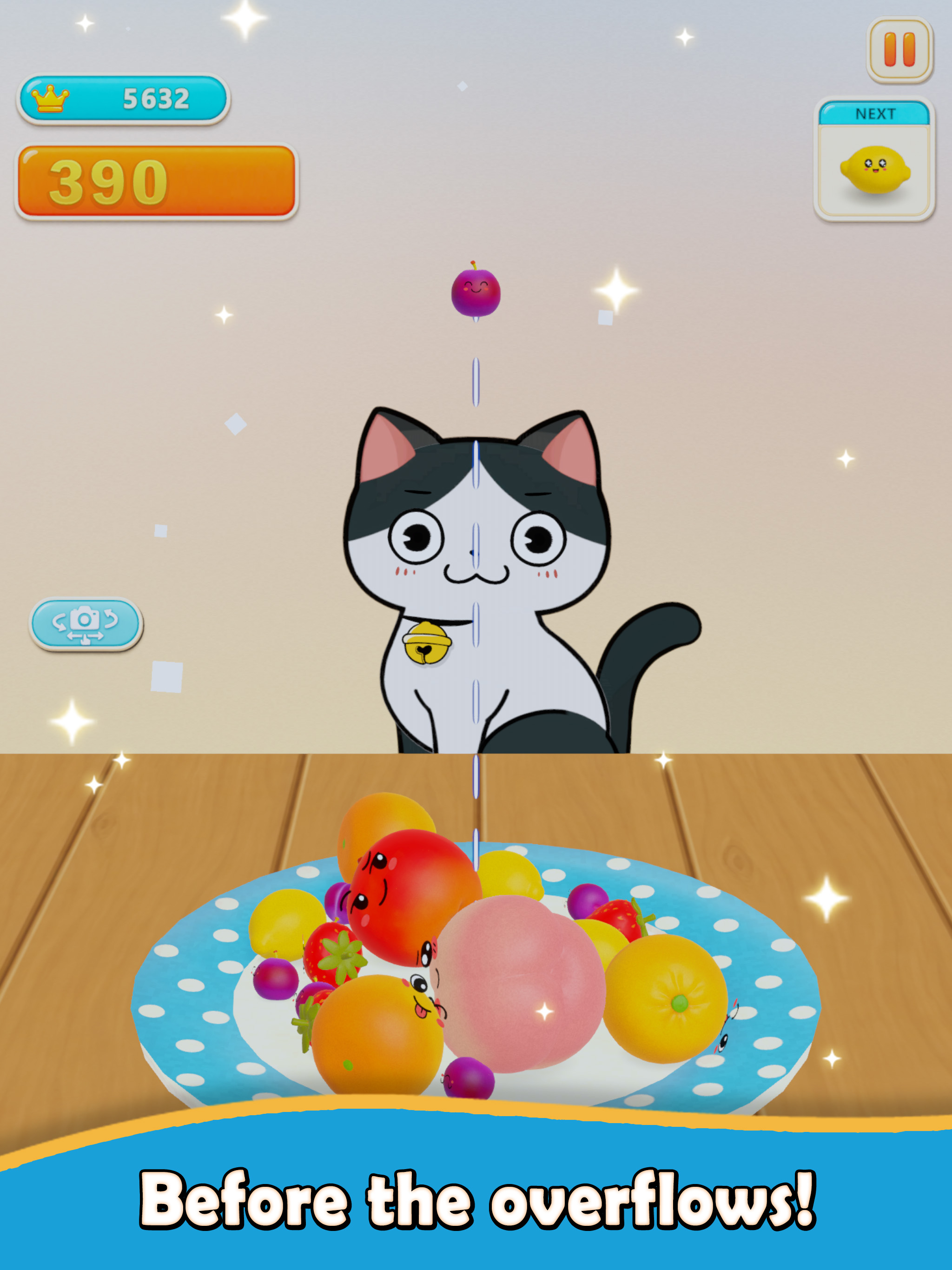 Fruits Plate screenshot 6