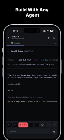 Braid Code Screenshot 2 of 4