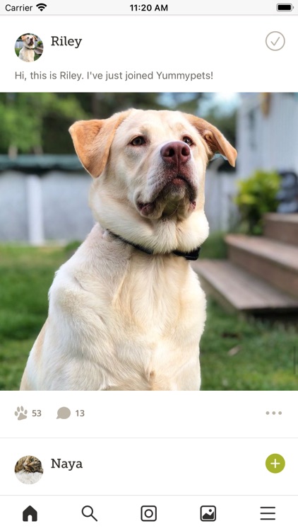 Yummypets - Pets