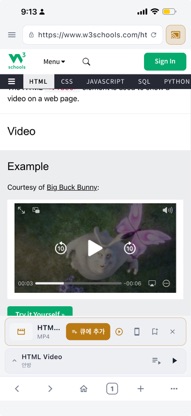 myTV - Cast Web Videos to TV screenshot 2