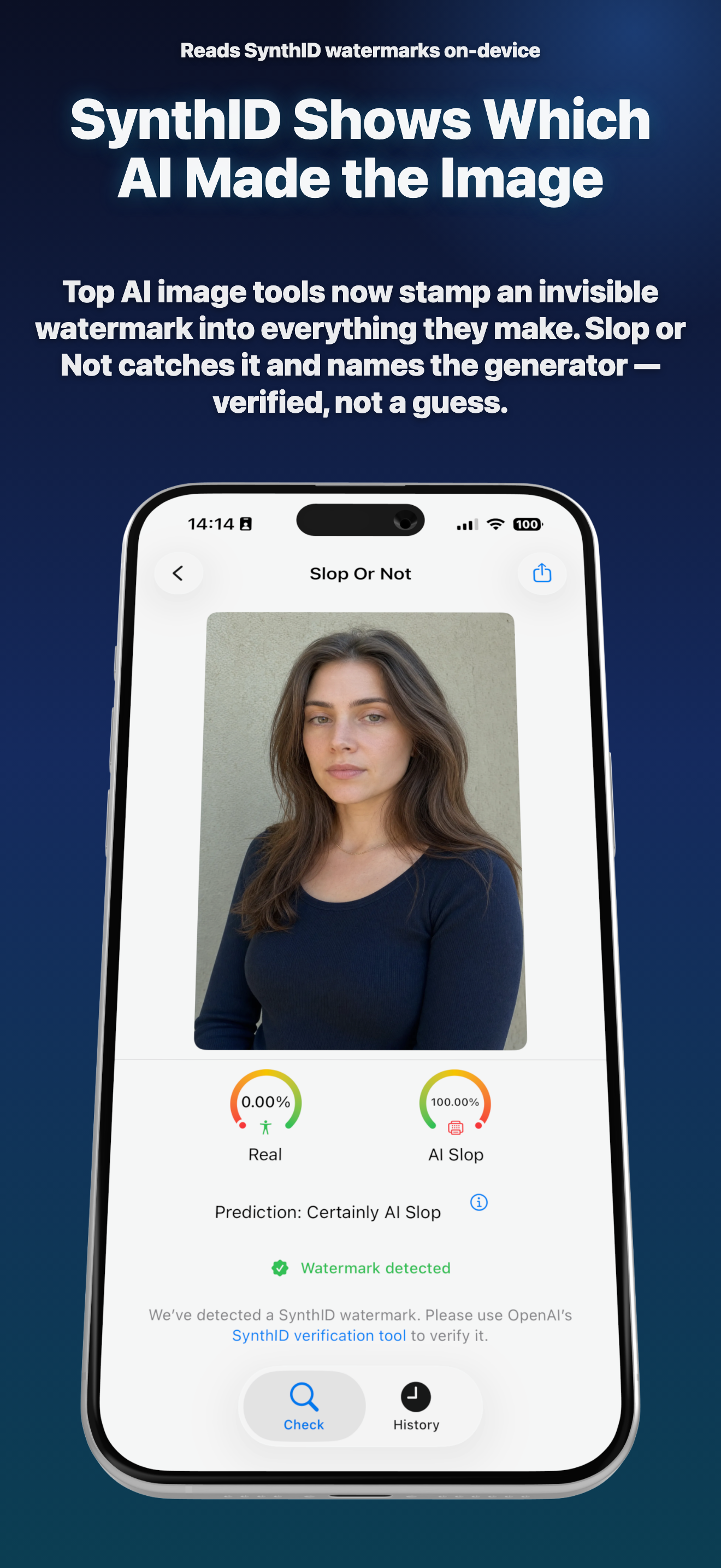 Slop Or Not - AI Detector screenshot 3