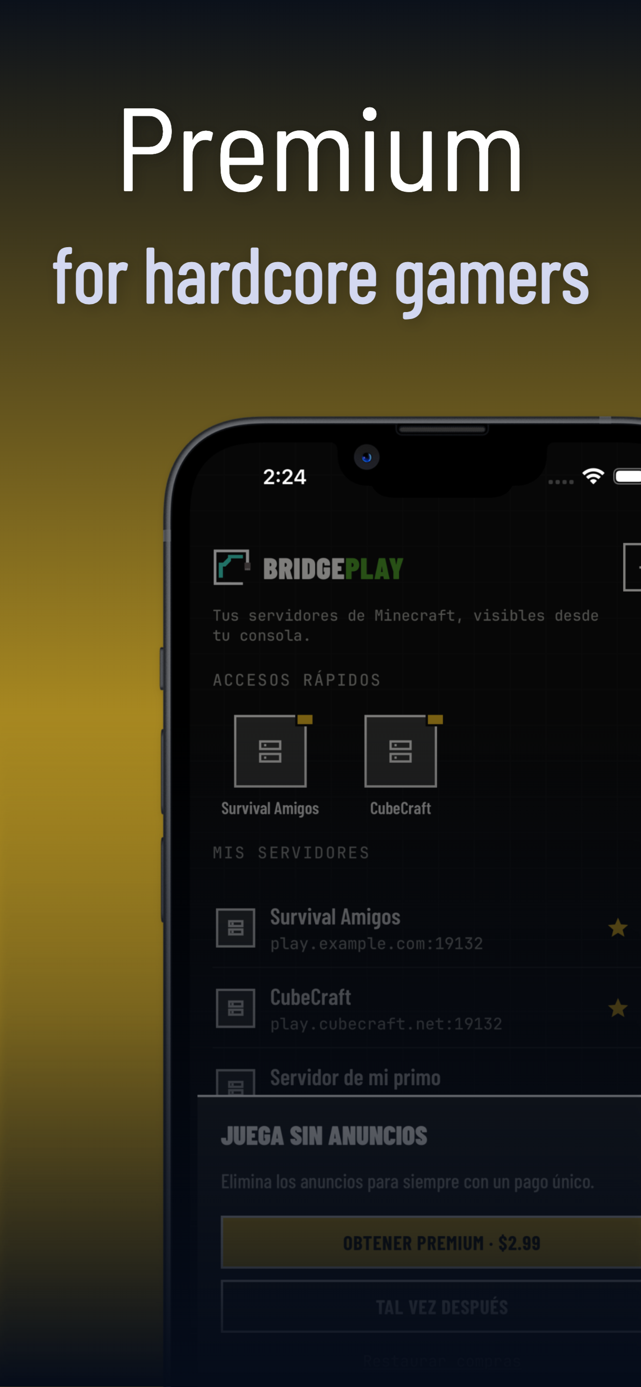 BridgePlay — Bedrock LAN Tool screenshot 6