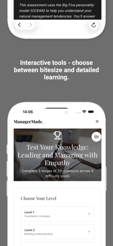 ManagerMade. screenshot